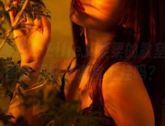 PDL潘多拉 - Ellie艾栗栗的教室：这美图能不能在课堂上挂吗？