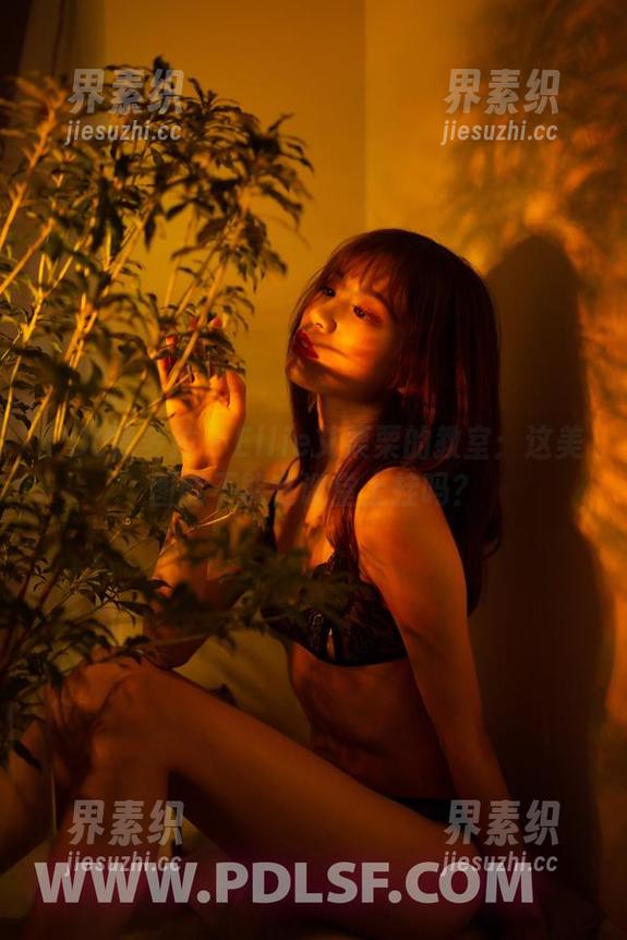PDL潘多拉 - Ellie艾栗栗的教室：这美图能不能在课堂上挂吗？