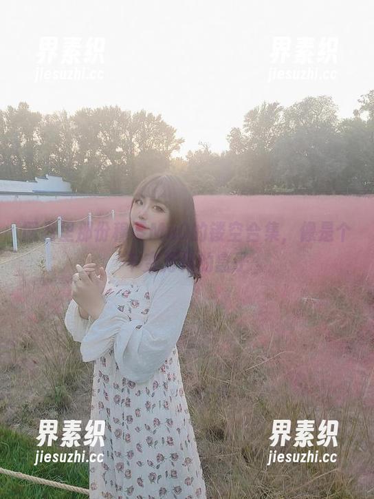 网盘里那份穆零Mu0的镂空合集，像是个千变万化的盒子